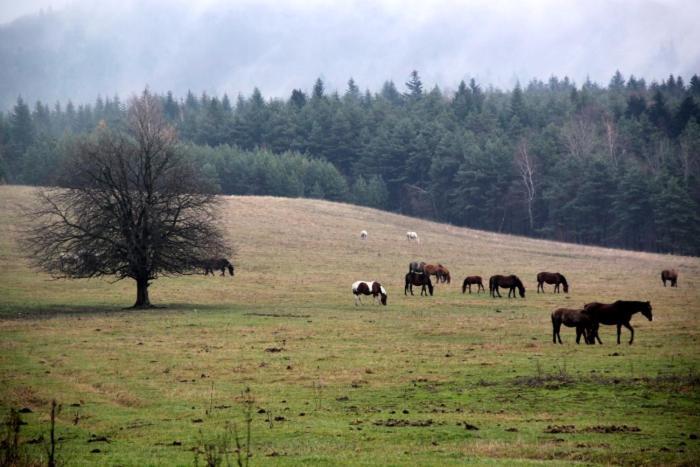 Agroturystyka Elzbieta I Juliusz Muszyna Exterior foto